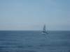 pict0238_small.jpg