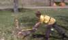 imag2722_small.jpg