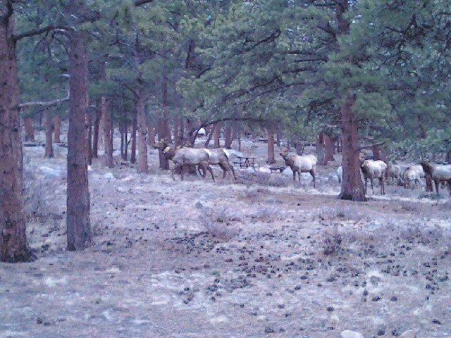 picture0010.jpg