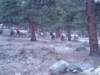 picture0011_small.jpg