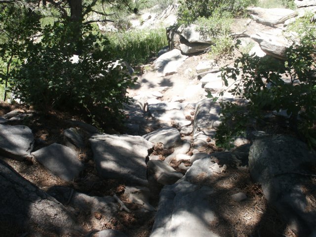 pict0059.jpg